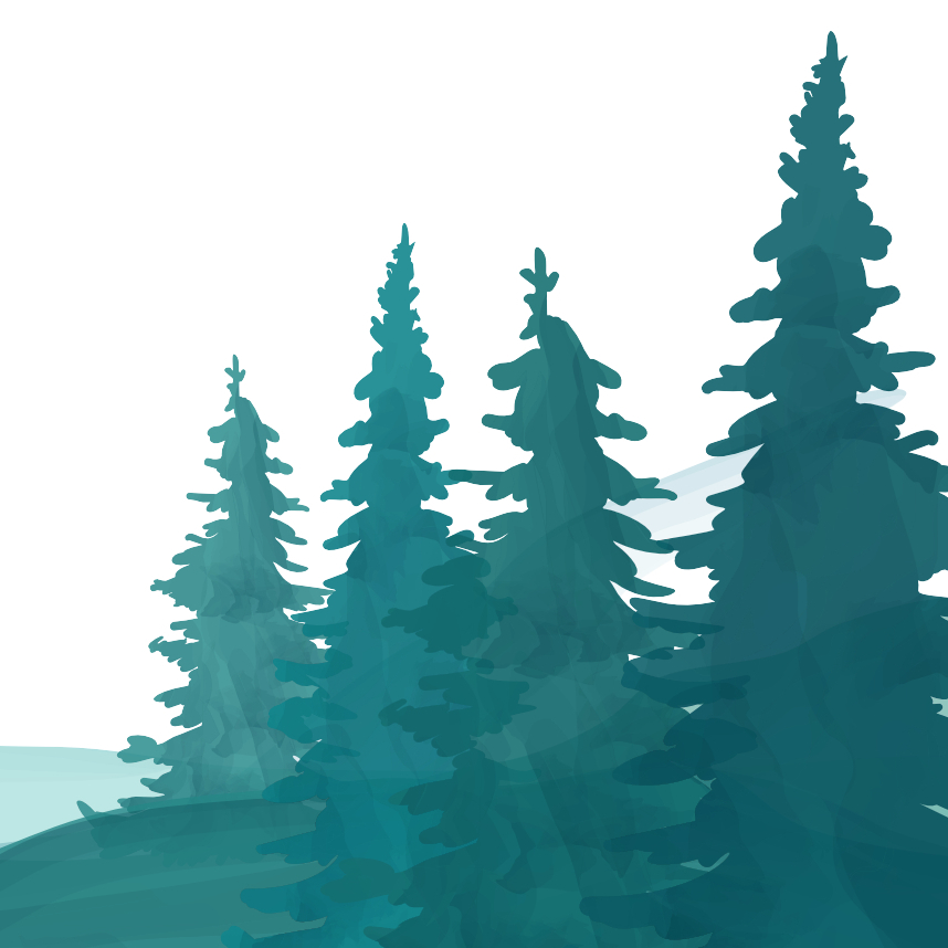 Kathy Weeden – Author